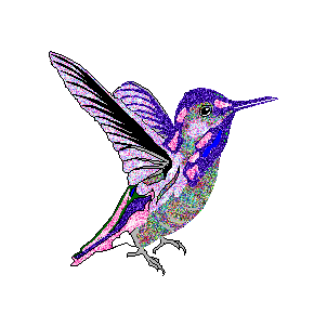 Humming bird