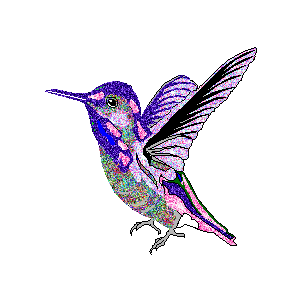 Humming bird